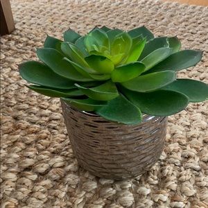 Artificial Succulent with Pot